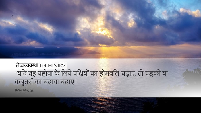लैव्यव्यवस्था 1:14 HINIRV Bible Verse Image