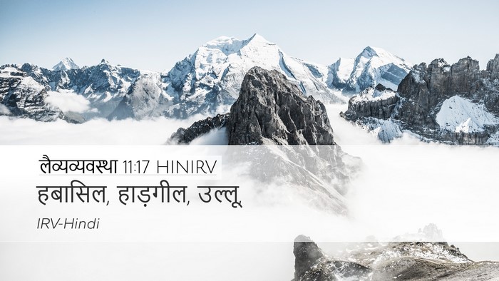 लैव्यव्यवस्था 11:17 HINIRV Desktop Wallpaper - हबासिल, हाड़गील, - Desktop Bible Verse Wallpaper