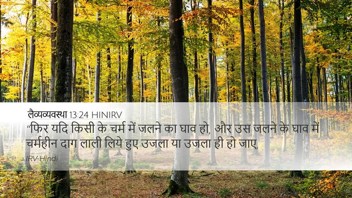 लैव्यव्यवस्था 13:24 HINIRV Bible Verse Image