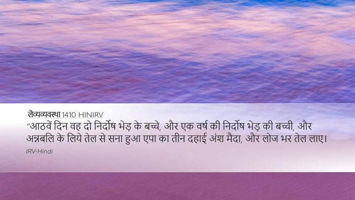 लैव्यव्यवस्था 14:10 HINIRV Bible Verse Image