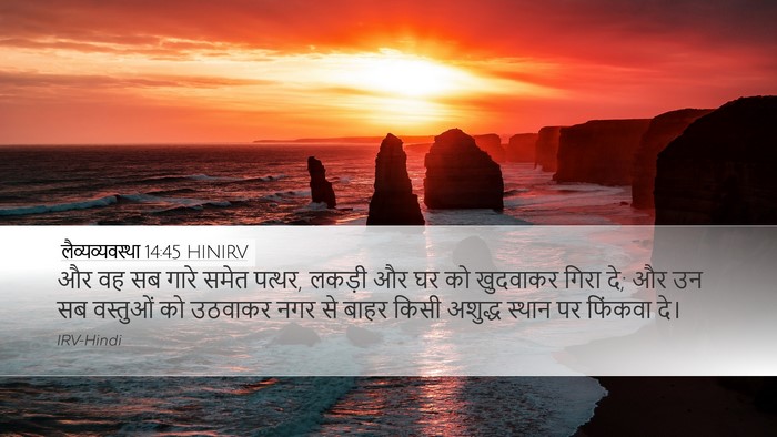 लैव्यव्यवस्था 14:45 HINIRV Bible Verse Image