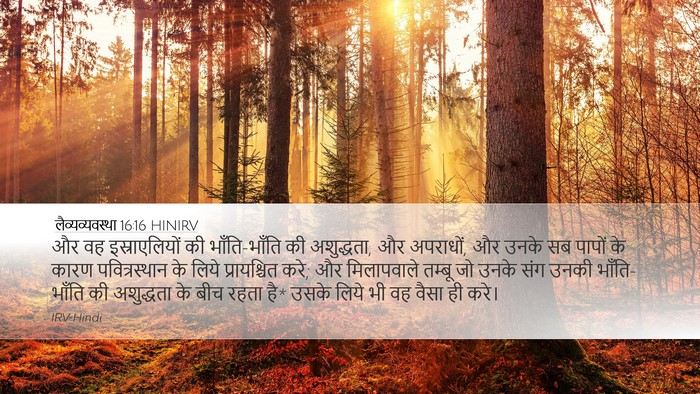 लैव्यव्यवस्था 16:16 HINIRV Desktop Wallpaper - और वह इस्राएलियों - Desktop Bible Verse Wallpaper