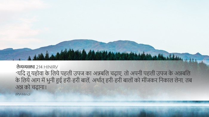 लैव्यव्यवस्था 2:14 HINIRV Bible Verse Image