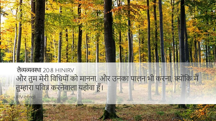 लैव्यव्यवस्था 20:8 HINIRV Desktop Wallpaper - और तुम मेरी - Desktop Bible Verse Wallpaper