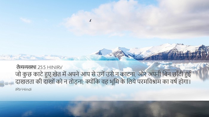 लैव्यव्यवस्था 25:5 HINIRV Desktop Wallpaper - जो कुछ काटे हुए खेत - Desktop Bible Verse Wallpaper