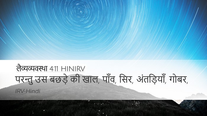 लैव्यव्यवस्था 4:11 HINIRV Bible Verse Image