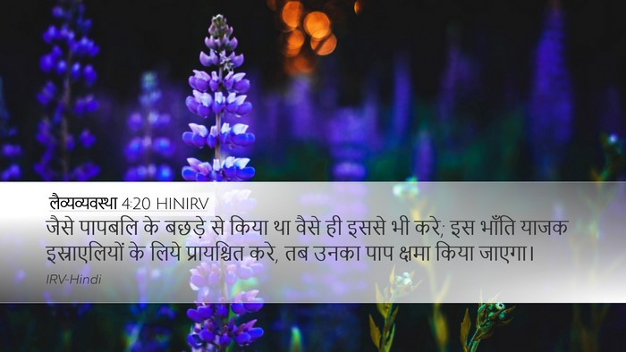 लैव्यव्यवस्था 4:20 HINIRV Bible Verse Image
