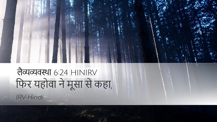 लैव्यव्यवस्था 6:24 HINIRV Desktop Wallpaper - फिर यहोवा ने मूसा - Desktop Bible Verse Wallpaper