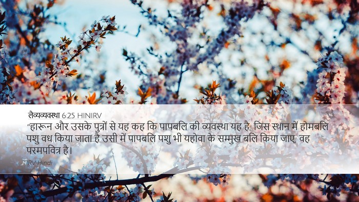 लैव्यव्यवस्था 6:25 HINIRV Bible Verse Image