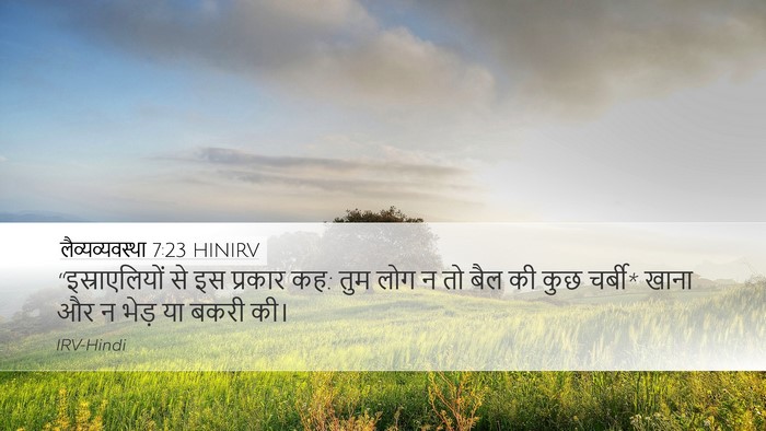 लैव्यव्यवस्था 7:23 HINIRV Bible Verse Image
