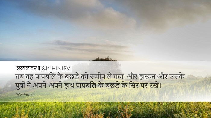 लैव्यव्यवस्था 8:14 HINIRV Bible Verse Image