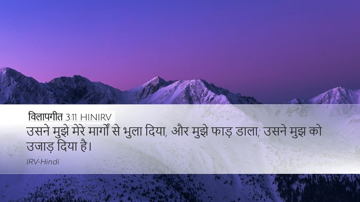 विलापगीत 3:11 HINIRV Desktop Wallpaper - उसने मुझे मेरे - Desktop Bible Verse Wallpaper