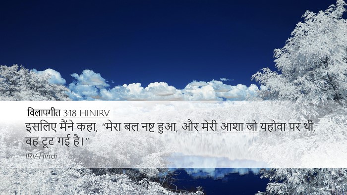विलापगीत 3:18 HINIRV Bible Verse Image