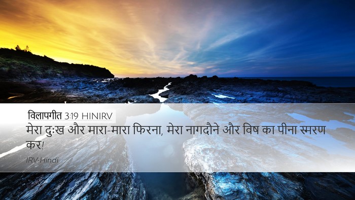 विलापगीत 3:19 HINIRV Bible Verse Image