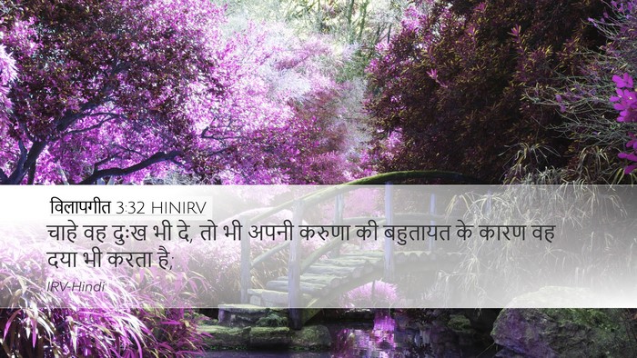 विलापगीत 3:32 HINIRV Bible Verse Image