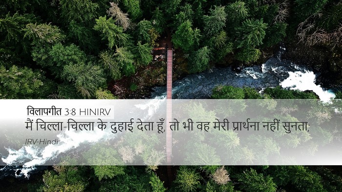 विलापगीत 3:8 HINIRV Bible Verse Image