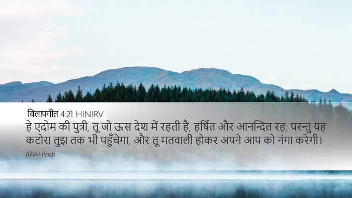 विलापगीत 4:21 HINIRV Bible Verse Image