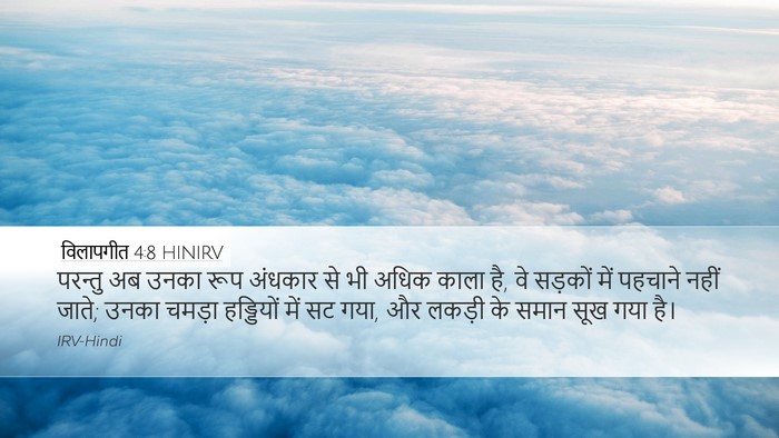 विलापगीत 4:8 HINIRV Bible Verse Image