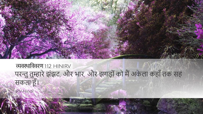 व्यवस्थाविवरण 1:12 HINIRV Bible Verse Image