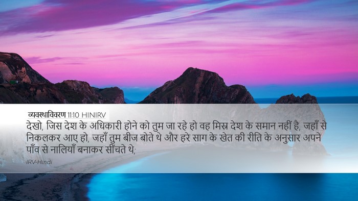 व्यवस्थाविवरण 11:10 HINIRV Bible Verse Image