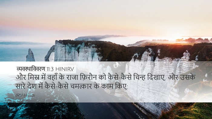 व्यवस्थाविवरण 11:3 HINIRV Desktop Wallpaper - और मिस्र में वहाँ - Desktop Bible Verse Wallpaper