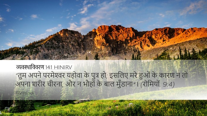 व्यवस्थाविवरण 14:1 HINIRV Bible Verse Image
