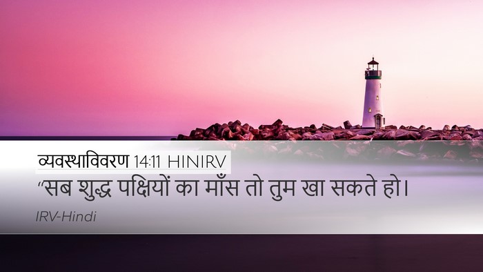 व्यवस्थाविवरण 14:11 HINIRV Desktop Wallpaper - “सब शुद्ध - Desktop Bible Verse Wallpaper