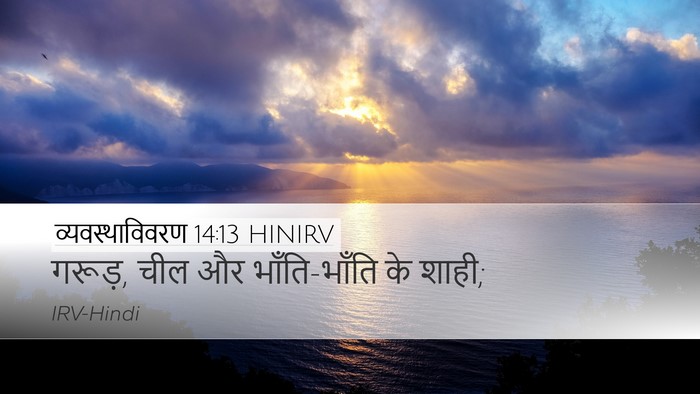 व्यवस्थाविवरण 14:13 HINIRV Desktop Wallpaper - गरूड़, चील और - Desktop Bible Verse Wallpaper