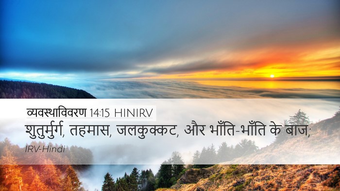 व्यवस्थाविवरण 14:15 HINIRV Desktop Wallpaper - शुतुर्मुर्ग, - Desktop Bible Verse Wallpaper