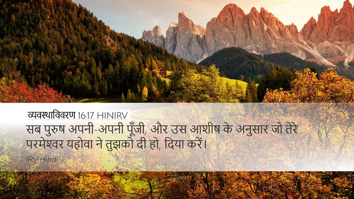 व्यवस्थाविवरण 16:17 HINIRV Desktop Wallpaper - सब पुरुष अपनी-अपनी - Desktop Bible Verse Wallpaper