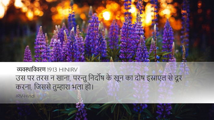 व्यवस्थाविवरण 19:13 HINIRV Bible Verse Image