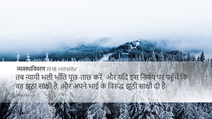 व्यवस्थाविवरण 19:18 HINIRV Bible Verse Image