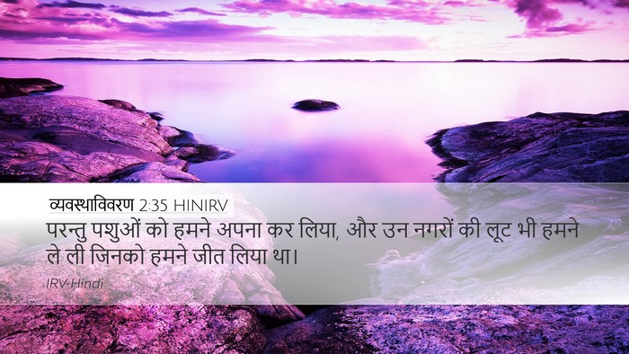 व्यवस्थाविवरण 2:35 HINIRV Bible Verse Image
