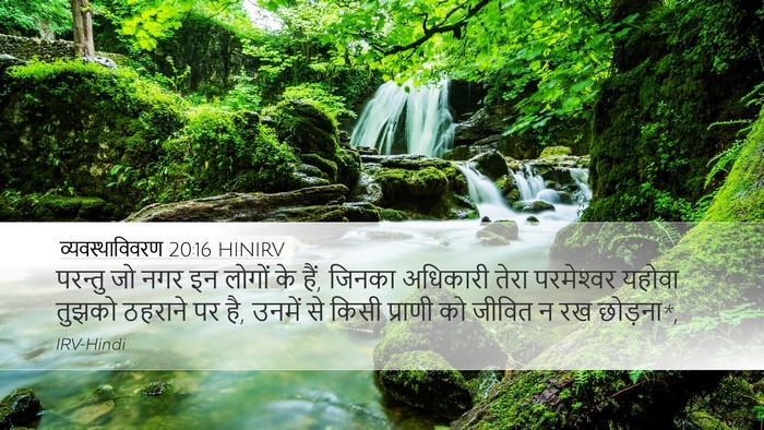 व्यवस्थाविवरण 20:16 HINIRV Bible Verse Image