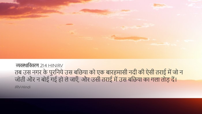 व्यवस्थाविवरण 21:4 HINIRV Desktop Wallpaper - तब उस नगर के - Desktop Bible Verse Wallpaper