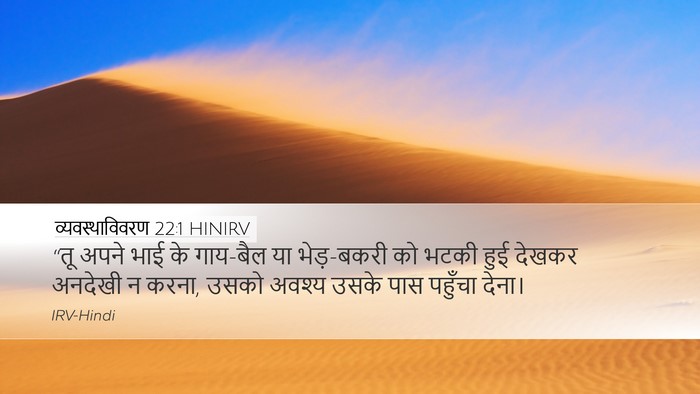 व्यवस्थाविवरण 22:1 HINIRV Bible Verse Image