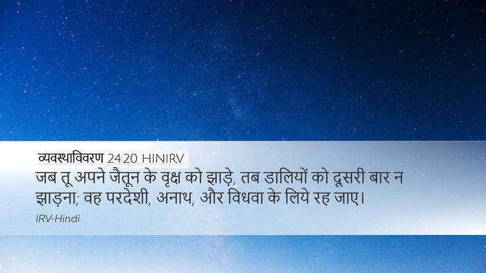 व्यवस्थाविवरण 24:20 HINIRV Desktop Wallpaper - जब तू अपने जैतून के - Desktop Bible Verse Wallpaper