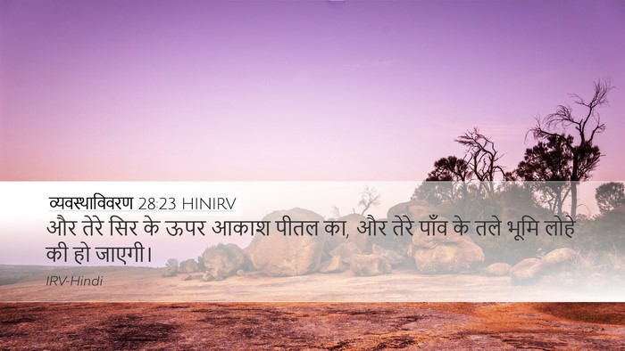 व्यवस्थाविवरण 28:23 HINIRV Bible Verse Image