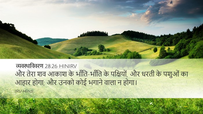 व्यवस्थाविवरण 28:26 HINIRV Bible Verse Image
