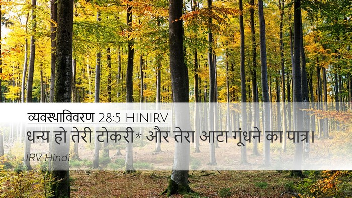 व्यवस्थाविवरण 28:5 HINIRV Desktop Wallpaper - धन्य हो तेरी टोकरी* - Desktop Bible Verse Wallpaper
