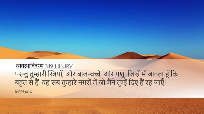 व्यवस्थाविवरण 3:19 HINIRV Desktop Wallpaper - परन्तु तुम्हारी - Desktop Bible Verse Wallpaper