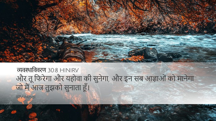 व्यवस्थाविवरण 30:8 HINIRV Bible Verse Image