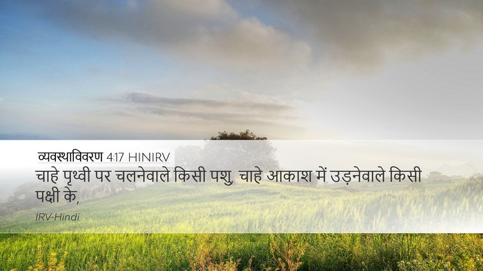 व्यवस्थाविवरण 4:17 HINIRV Desktop Wallpaper - चाहे पृथ्वी पर - Desktop Bible Verse Wallpaper