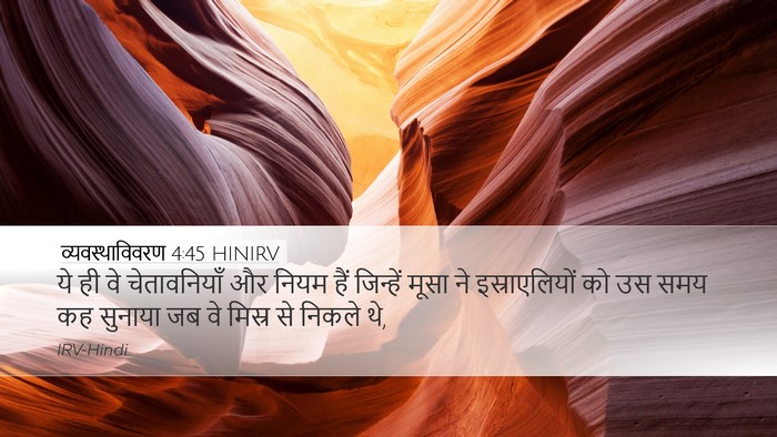 व्यवस्थाविवरण 4:45 HINIRV Bible Verse Image