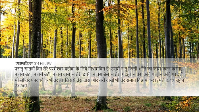 व्यवस्थाविवरण 5:14 HINIRV Bible Verse Image