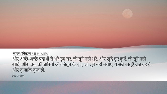 व्यवस्थाविवरण 6:11 HINIRV Bible Verse Image