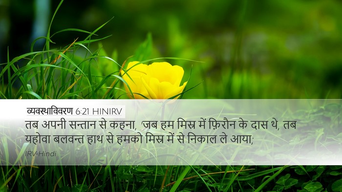 व्यवस्थाविवरण 6:21 HINIRV Bible Verse Image