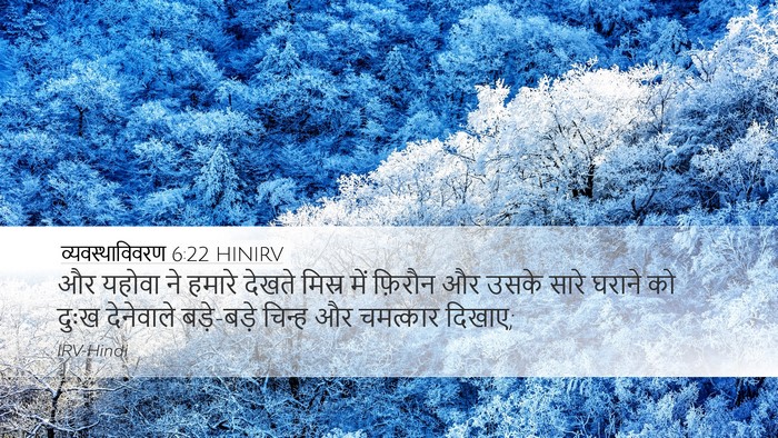 व्यवस्थाविवरण 6:22 HINIRV Bible Verse Image