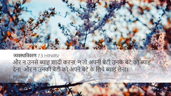 व्यवस्थाविवरण 7:3 HINIRV Bible Verse Image