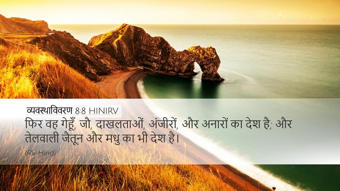 व्यवस्थाविवरण 8:8 HINIRV Desktop Wallpaper - फिर वह गेहूँ, जौ, - Desktop Bible Verse Wallpaper